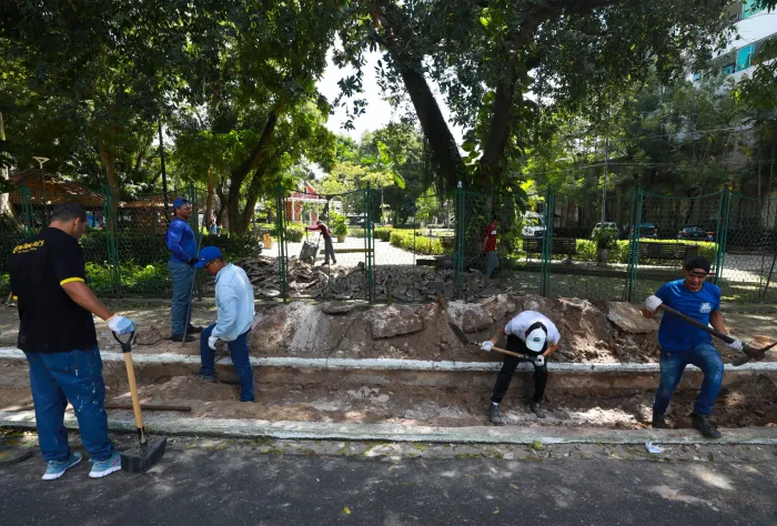 Prefeitura instala novo Jardim de Chuva no Horto Municipal de Belém