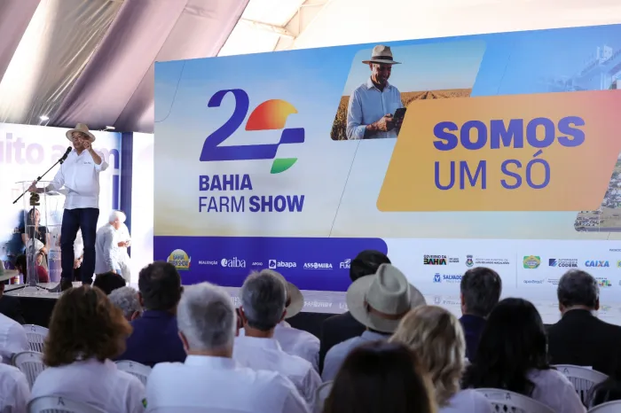 Foto: Amanda Ercília/GOVBA