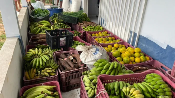 Programa de Aquisição de Alimentos beneficia agricultores familiares e fortalece segurança alimentar em municípios acreanos