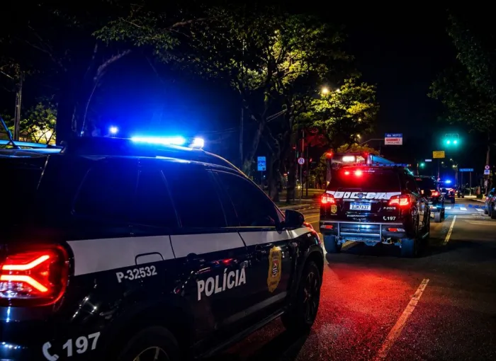 Grupo causou prejuízo estimado em mais de R$ 260 mil. Foto: Governo de São Paulo/Divulgação