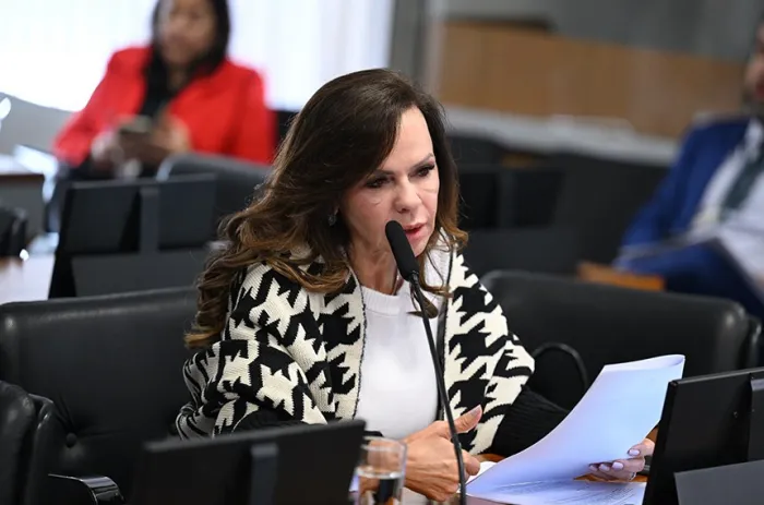 CE aprova projeto sobre formação continuada de profissionais da educação básica