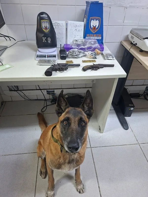 PM apreende armas de fogo e entorpecentes na Serra