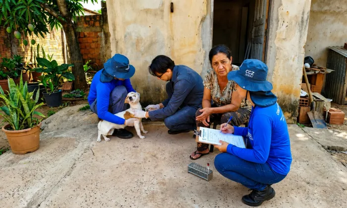Campo Grande amplia monitoramento da leishmaniose visceral canina