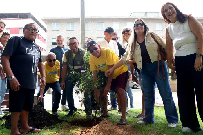 Secretaria do Meio Ambiente estuda a criação de um plano de arborização para o Ocian