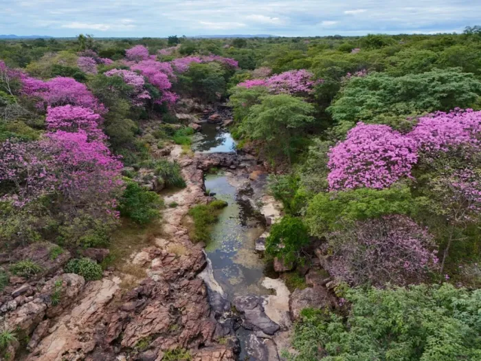 Foto: Reprodução/Secom Piauí