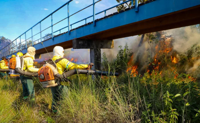 Governo do Tocantins intensifica ações de prevenção, monitoramento e combate aos incêndios florestais durante o período de estiagem em todas as regiões do estado - Foto: Vinicius Venâncio/Governo do Tocantins