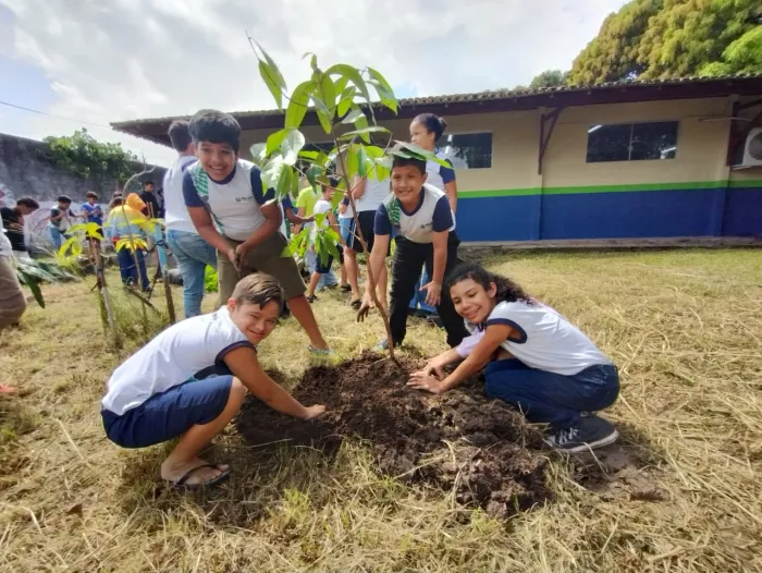 Prefeitura implanta sistemas agroflorestais em escolas de Belém