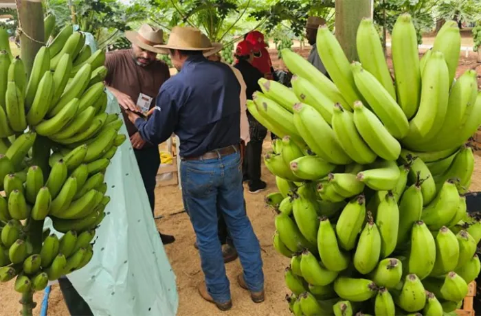 Foto: Reprodução/Secom Mato Grosso do Sul