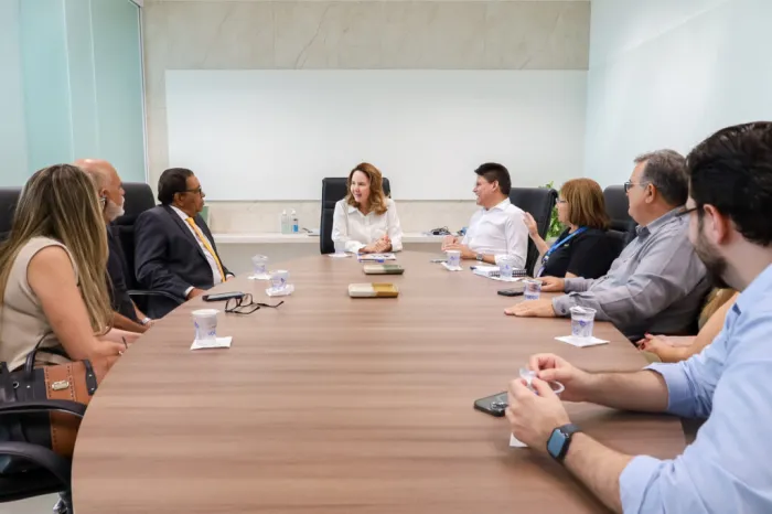 Imepi e Ministério Público firmam acordo de cooperação técnica para intensificar fiscalizações no Piauí