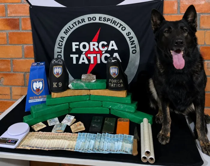 Foto: Reprodução/Polícia Militar - ES