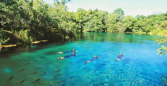 Foto: Reprodução/Secom Mato Grosso do Sul