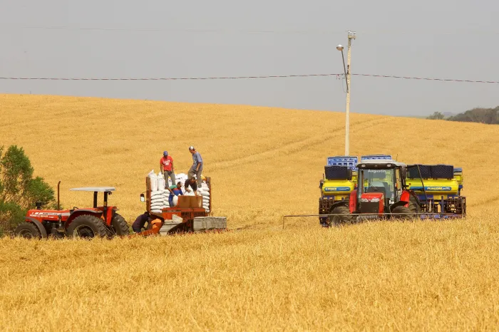 Foto: Reprodução/Secom Paraná