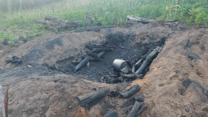 Operação Protetor dos Biomas intensifica combate a crimes ambientais em Alagoas