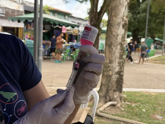Vacinação antirrábica gratuita está disponível em Belém