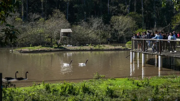 Governo do Estado anuncia reabertura do Parque Zoológico, em Sapucaia do Sul, para visitação neste sábado (13)
