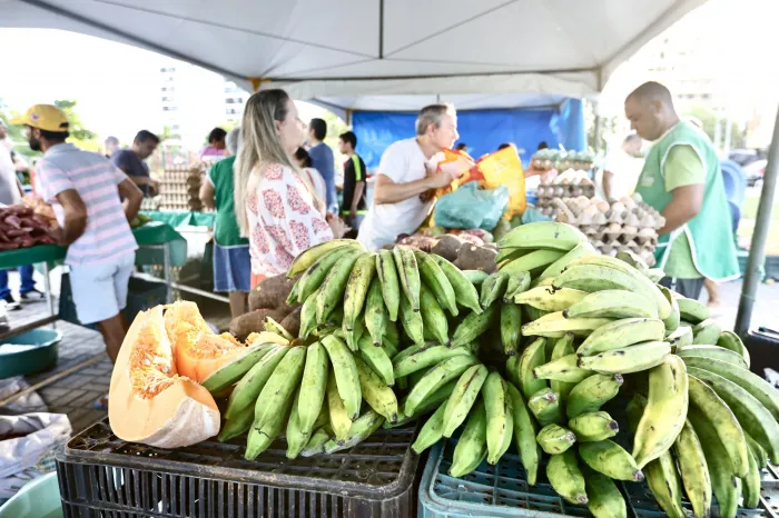 Foto: Reprodução/Prefeitura de João Pessoa - PB