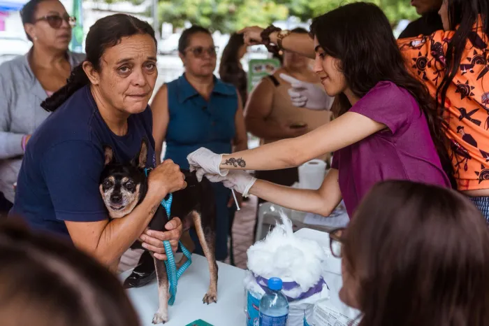 Cuidado, respeito e amor pelos animais marcam edição do Pet Day no bairro do Salgado