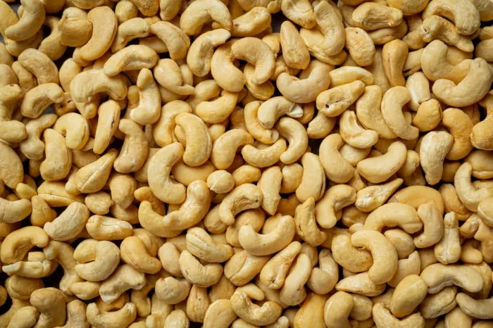 No caso das castanhas-de-caju, cerca de 56% do cobre e 52% do magnésio presentes no alimento estavam disponíveis para absorção após o processo de digestão simulada; manganês e zinco foram encontrados em quantidades insuficientes para medição confiável
