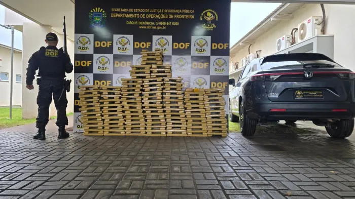 Foto: Reprodução/DOF - MS