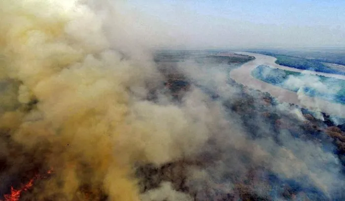Divulgação/Corpo de Bombeiros Militar de Mato Grosso do Sul