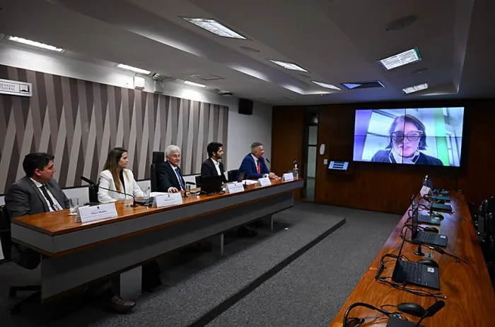 Audiência pública na Comissão de Infraestrutura voltou a debater potencial eólico em alto-mar - Foto: Ton Molina/Agência Senado
