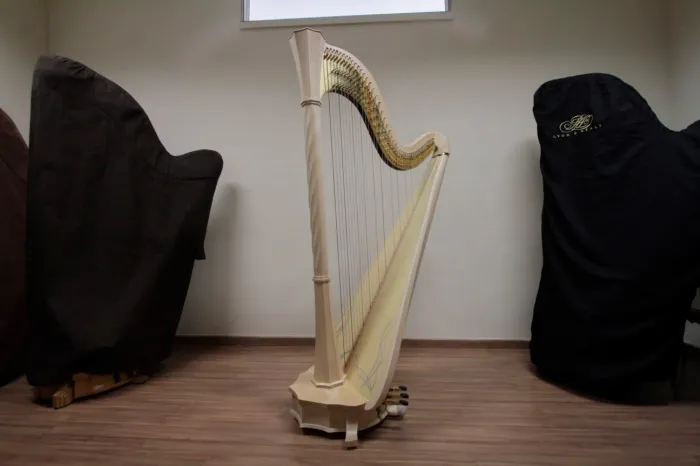 Nova harpa é destaque do próximo concerto da Orquestra Sinfônica do Paraná