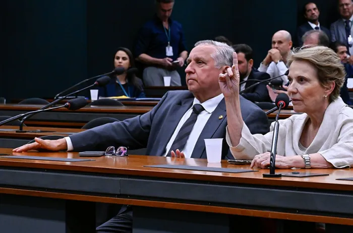 Os senadores Izalci Lucas e Tereza Cristina na reunião da CMO - Foto: Waldemir Barreto/Agência Senado