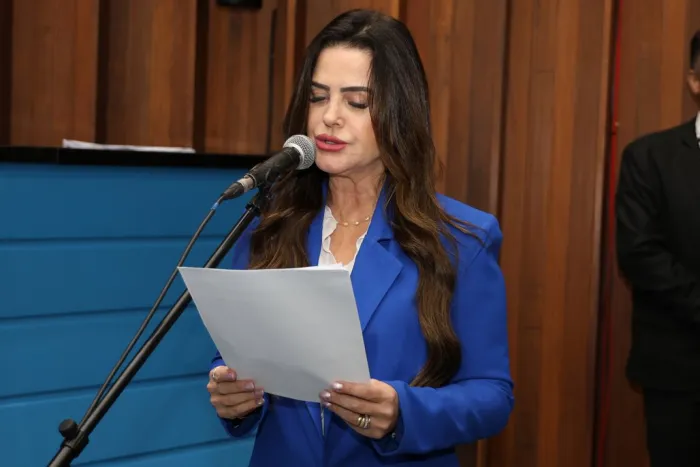 Deputada Mara Caseiro durante a sessão plenária desta terça-feira