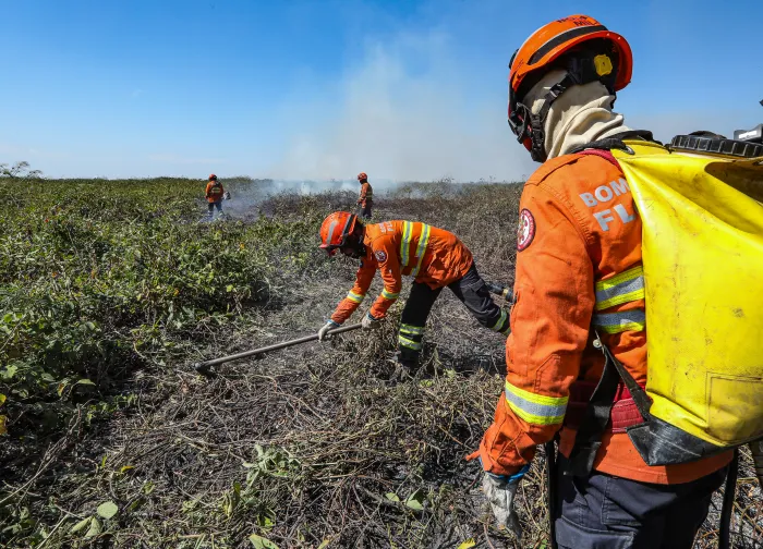 Processo seletivo abre 150 vagas para brigadistas em 29 municípios de Mato Grosso