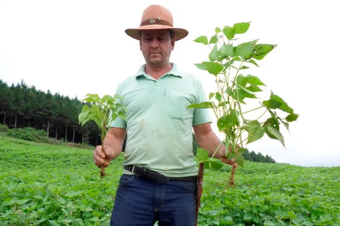 Em novo edital, Sanepar disponibiliza 1,5 mil toneladas de biossólido para a agricultura