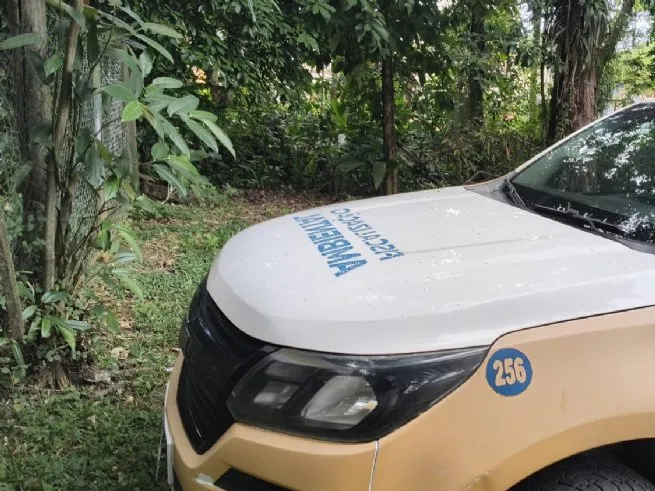 Operação conjunta reforça fiscalização ambiental e combate ocupações irregulares em São Sebastião