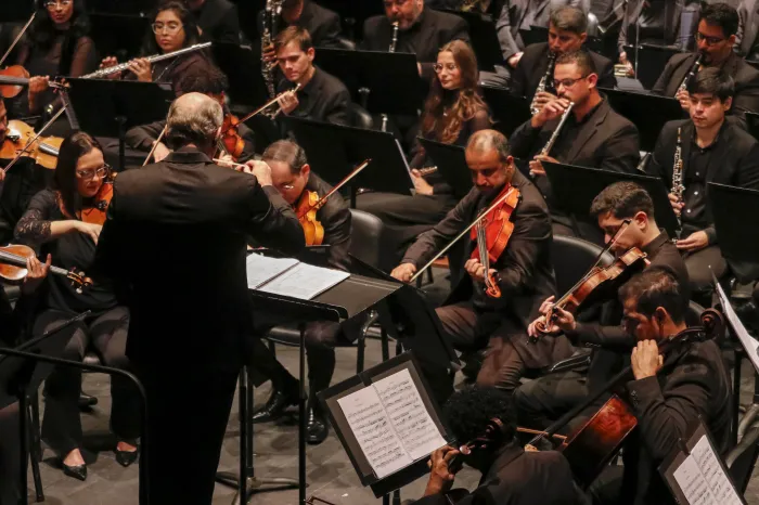 Orquestra Sinfônica do Espírito Santo apresenta um mergulho no universo operístico de Richard Wagner
