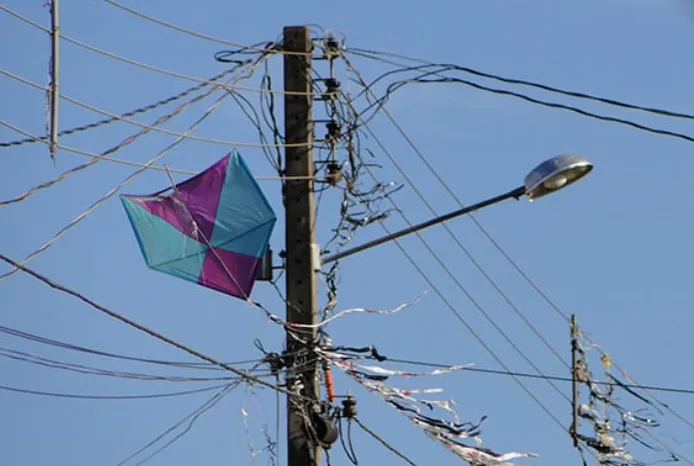 Pipas causam mais de 3,5 mil interrupções de energia em MG e afetam 1,1 milhão de clientes da Cemig 
