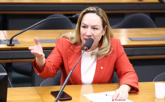 Comissão aprova projeto que cria diretrizes nacionais para as Rondas Maria da Penha