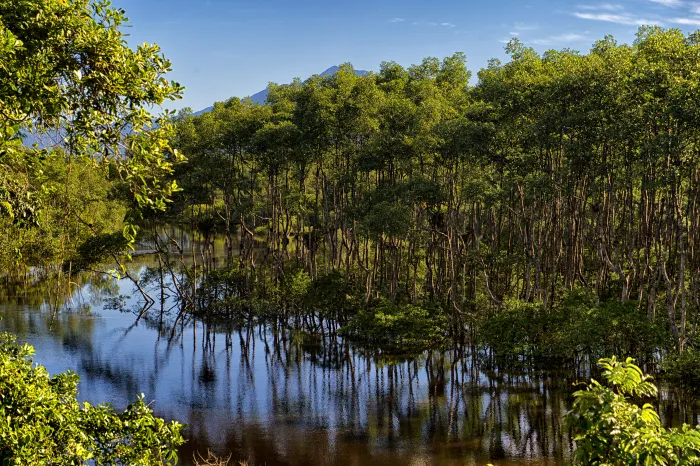 Do mangue ao sítio arqueológico: parques estaduais são abrigos da natureza paranaense