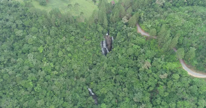 Reserva Biológica Estadual da Canela Preta: 46 anos dedicados à conservação da biodiversidade entre Botuverá e Nova Trento