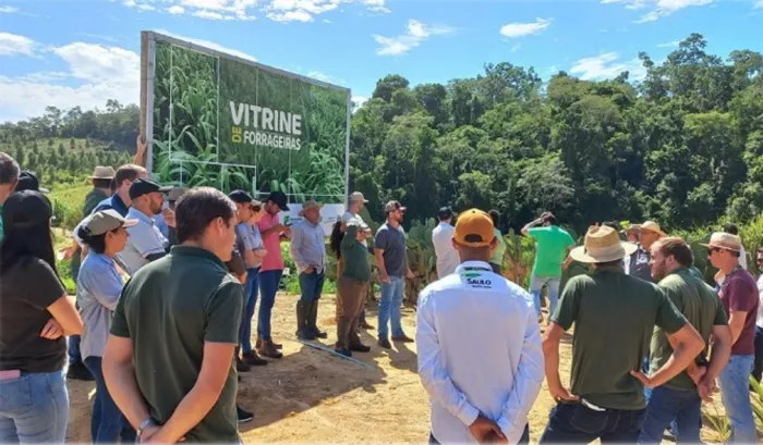 Capacitação prepara técnicos para utilização de ferramenta de sustentabilidade na pecuária leiteira capixaba