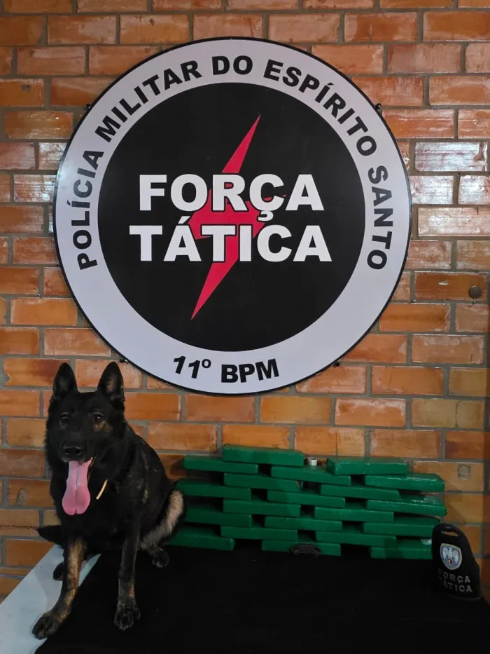 11º BPM APREENDE MAIS 18,4 KG DE MACONHA EM DESDOBRAMENTO DE INVESTIGAÇÃO EM ÁGUA DOCE DO NORTE