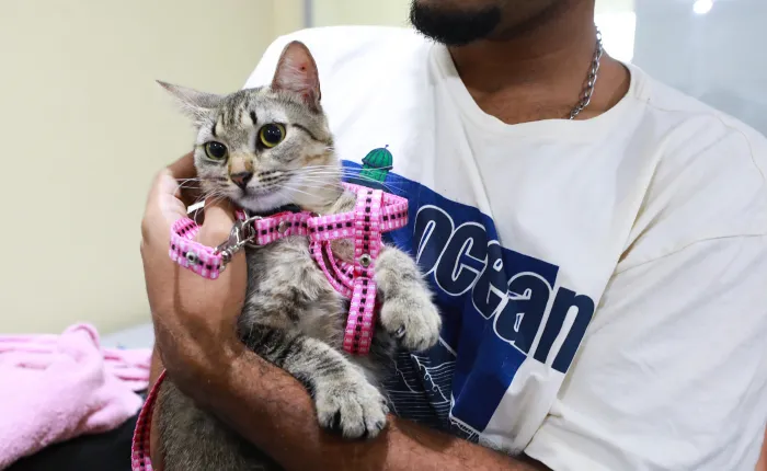 Belém Animal leva atendimento veterinário gratuito a Icoaraci