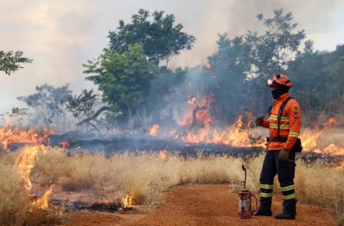 Foto: Reprodução/Secom Mato Grosso do Sul