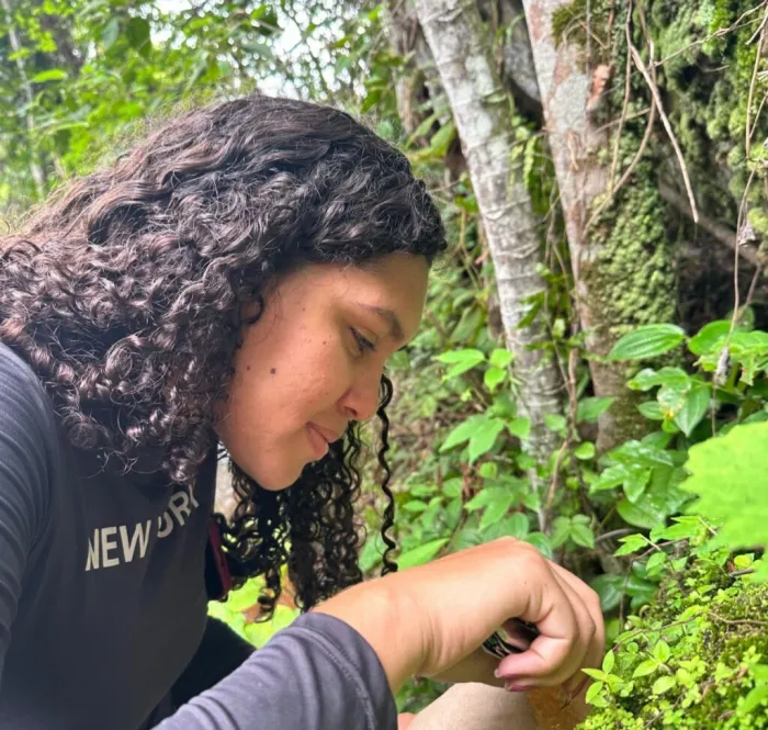 Alunos da Uespi de Campo Maior são selecionados para estágio em instituições de referência nacional nas áreas de botânica e entomologia