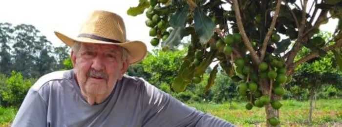 Produtor do Sul de Minas investe em macadâmia, com apoio da Emater-MG