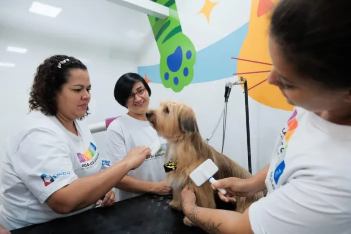 Carretas do Caminho da Capacitação chegam à zona leste de São Paulo com mais de 2 mil vagas gratuitas