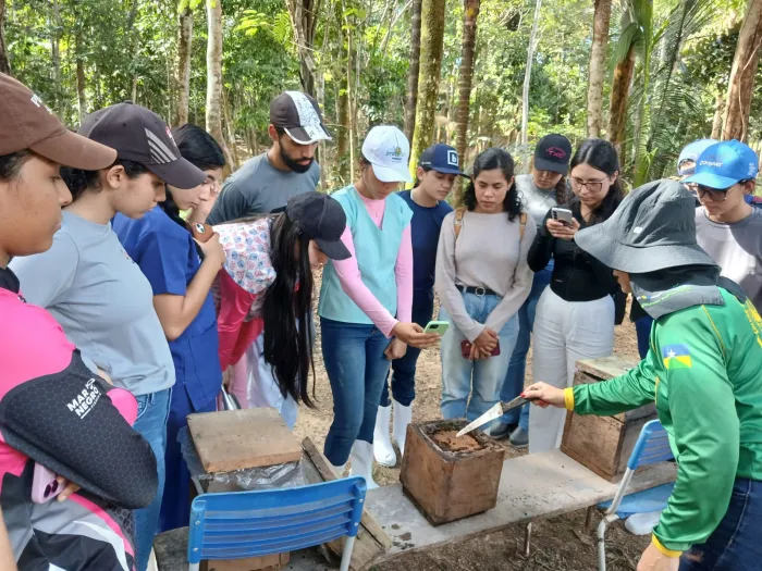 Estudantes conheceram a produção de mel e a criação de abelhas sem ferrão