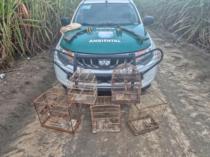 PM-AL resgata mais de 250 animais silvestres e apreende oito armas em operações ambientais