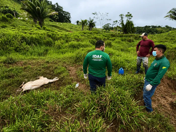 Foto: Reprodução/Secom Acre