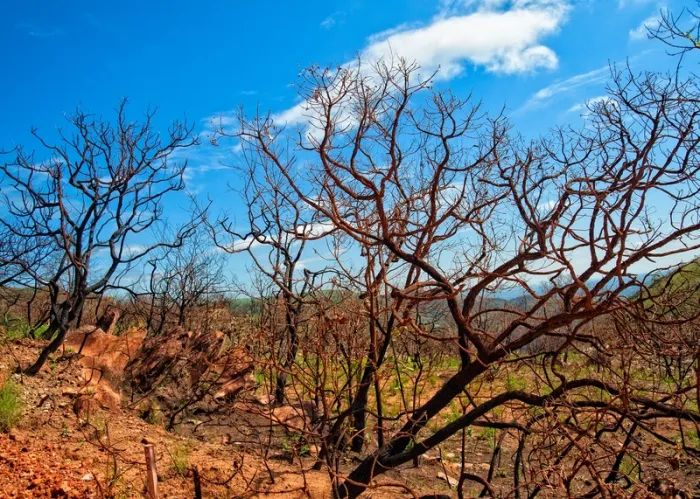 Governo de Minas intensifica ações de prevenção diante da possibilidade de atuação do El Niño no estado