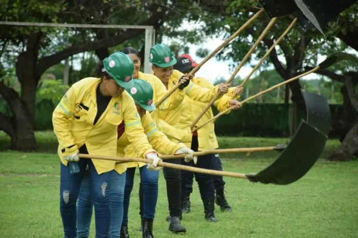Oito em cada dez municípios do Piauí já contam com brigadas contra incêndios florestais
