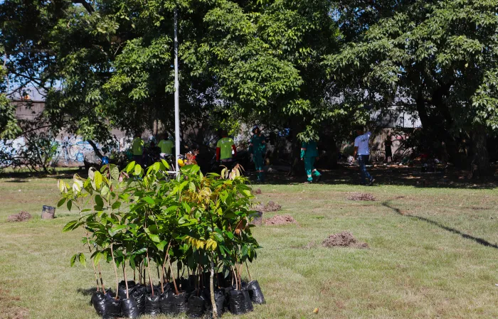 Belém atinge a marca de 20 mil mudas plantadas somente neste semestre
