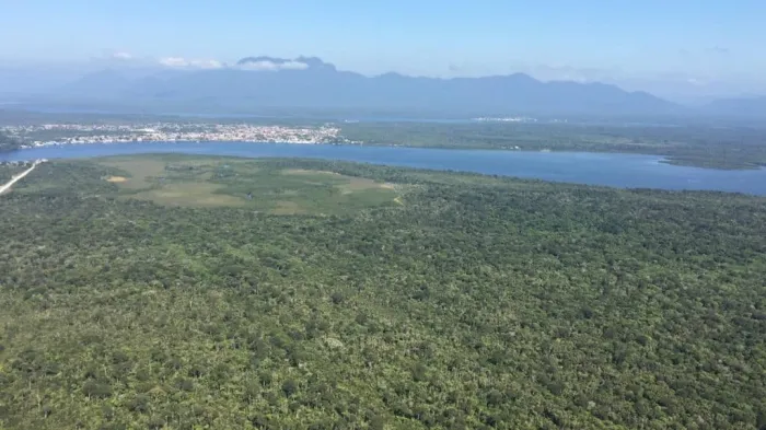 SP já recuperou áreas de nascentes e rios equivalentes a 9,5 mil campos de futebol desde 2023